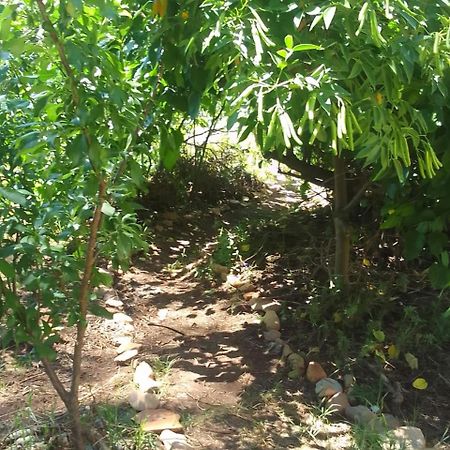 Bethany Farm Twee Riviere Εξωτερικό φωτογραφία