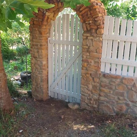 Bethany Farm Twee Riviere Εξωτερικό φωτογραφία