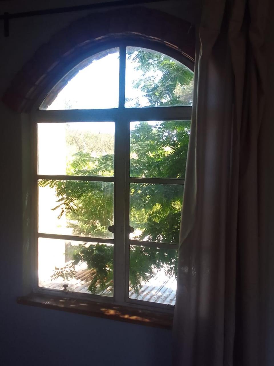Bethany Farm Twee Riviere Εξωτερικό φωτογραφία