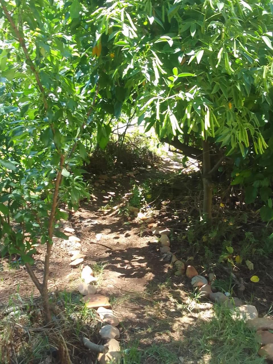 Bethany Farm Twee Riviere Εξωτερικό φωτογραφία