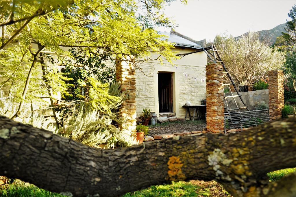 Bethany Farm Twee Riviere Εξωτερικό φωτογραφία