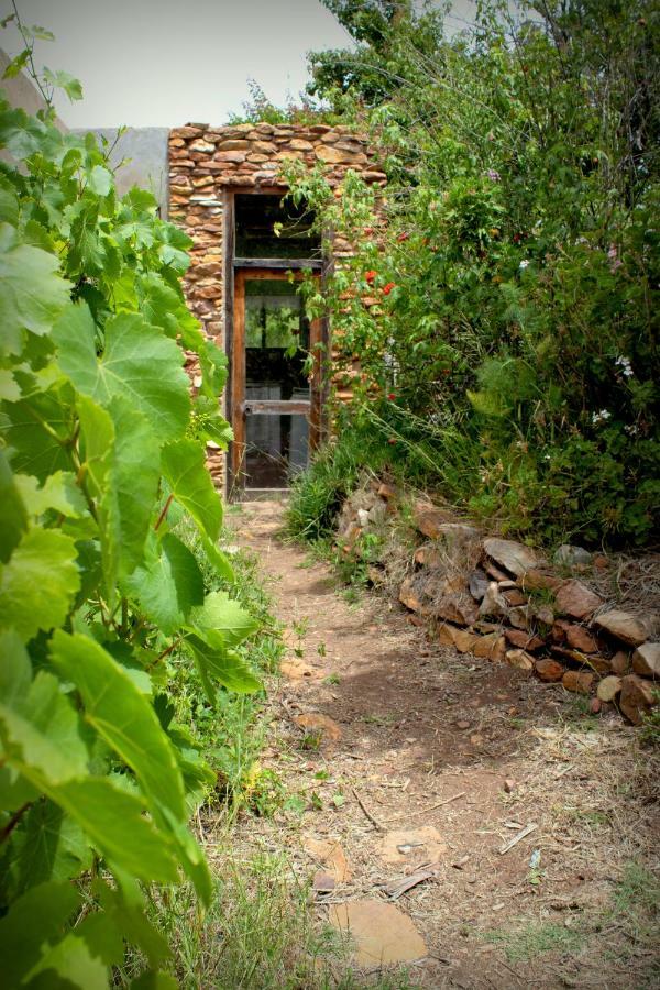 Bethany Farm Twee Riviere Εξωτερικό φωτογραφία