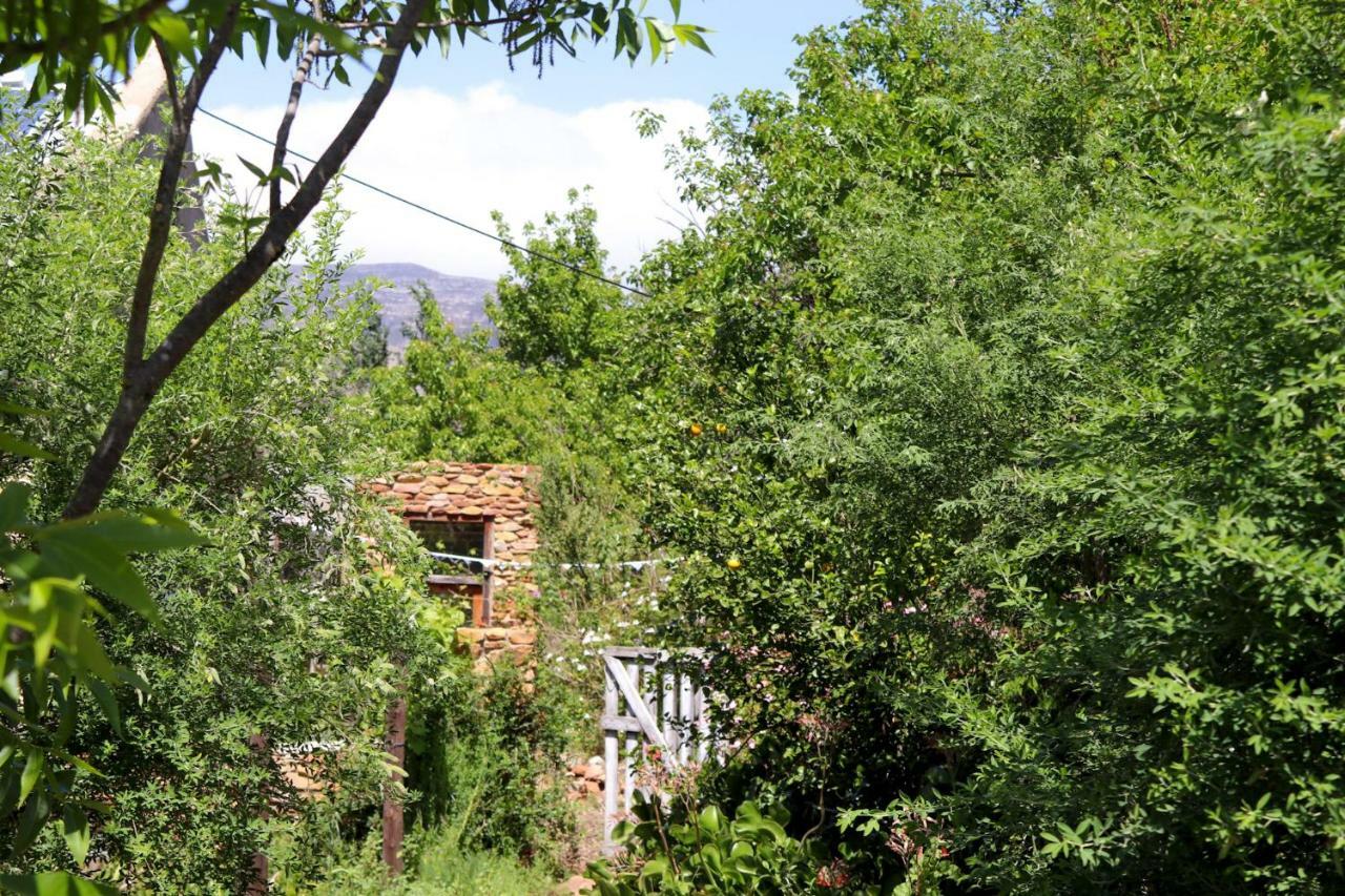 Bethany Farm Twee Riviere Εξωτερικό φωτογραφία